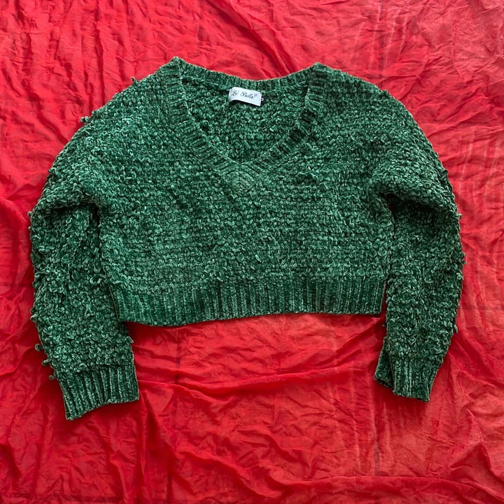 Lu Bella woman cropped v neck sweater
